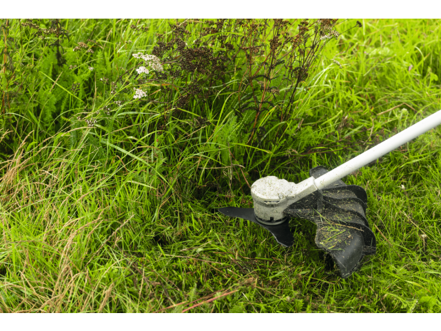 PRO Komplet rezil Bosch kosilnice za podrast, 3T, F016800663